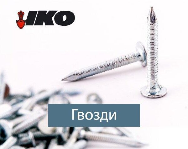 Цвях покрівельний кільцевий 3.1 x 30 К б/ц (уп 5 кг/1)