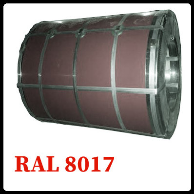 Рулонная сталь – гладкий лист с полимерным покрытием 0,5 мм 8017