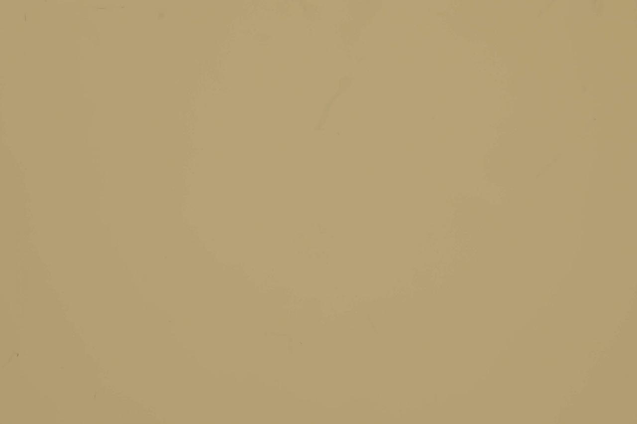 Алюминиевая композитная панель Albond® 7000 / 4-04 / SOLID / RAL 1000 Green Beige 1 Алюминиевая композитная панель Albond® 7000 / 4-04 / SOLID / RAL 1000 Green Beige