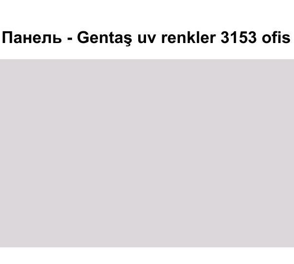 HPL Панель Экстерьер - Gentaş / 6 мм / 3153 / Ofis gri