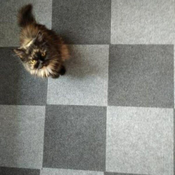 Самоклеящаяся плитка под ковролин темно-серая 300х300х4,5мм SW-00001420