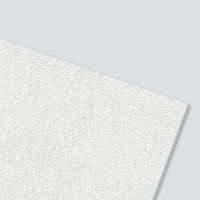 Стельова плита AMF Thermatex Aquatec 600*600*19 мм