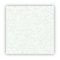 Стельова плита Thermatex Antaris C 600*600*13 мм